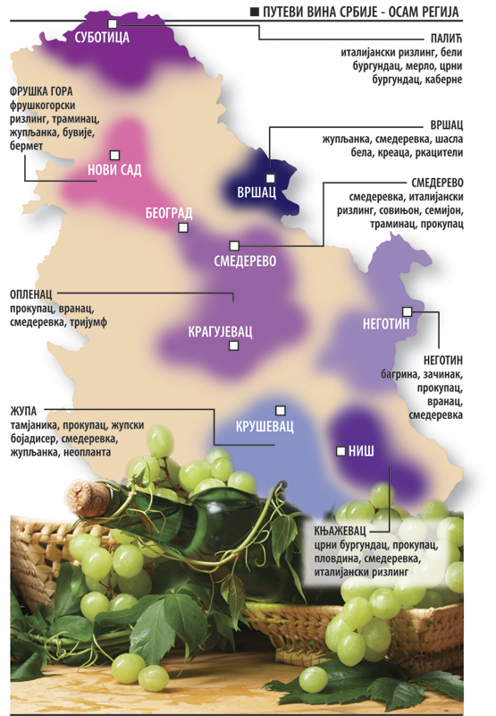 rep-vino--Mapa-vina