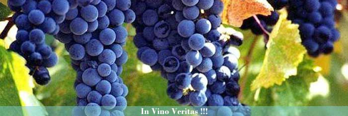 in-vino-veritas